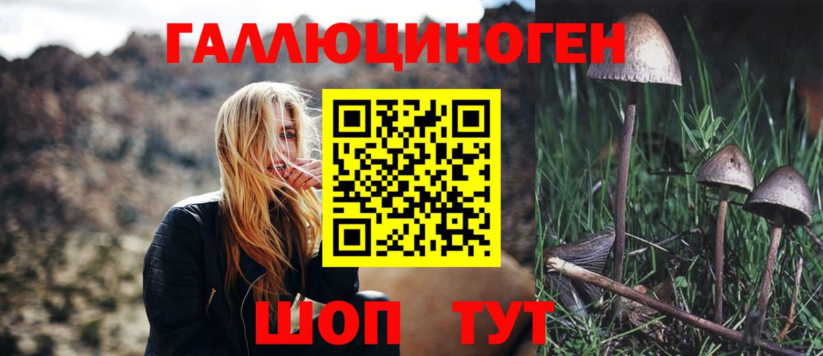 Псилоцибиновые грибы прущие грибы Троицк